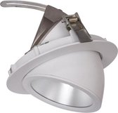LED BANAAN SPOT Draaibare en Kantelbare 20W 4000K