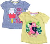 Set van 2 baby T-shirts - grijs en geel - maat 80 (9-12 maanden)