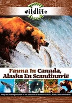 Wildlife - Fauna In Noord West Amerika