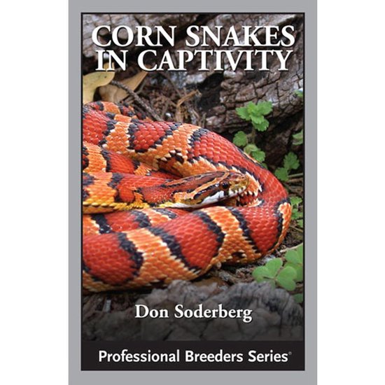 Corn Snakes in Captivity - cover
