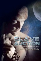 Slave Auction