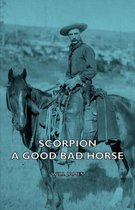 Scorpion - A Good Bad Horse