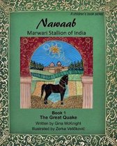 Nawaab: Marwari Stallion of India