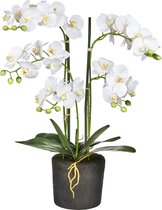 bol.com | Kunstplant Phalaenopsis 5-tak wit (orchidee) 68 cm