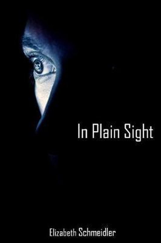 In Plain Sight - cover