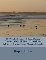 30 Worksheets - Identifying Places with 12 Digit Numbers