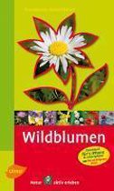 Steinbachs Naturführer Wildblumen