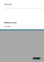 Einfuhrung Von SAP