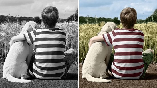Bol Com Adobe Photoshop Elements Nederlands Windows Download
