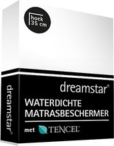 Dreamstar Waterdichte Matrasbeschermer Tencel 90x210