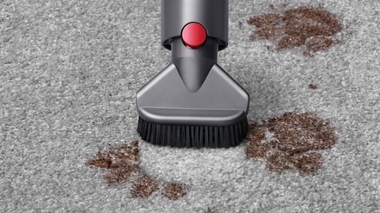 Dyson V11 Absolute Pro - Steelstofzuiger
