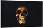 Acrylglas –Gouden Skull  – 90x60cm (Wanddecoratie op Acrylglas)