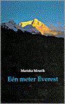 Meter Everest