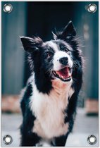Tuinposter –Speelse Hond– 60x90cm Foto op Tuinposter (wanddecoratie voor buiten en binnen)