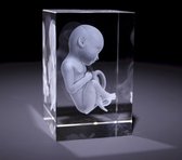 Anatomie model Foetus - 3D glazen blok - verpleegkundige cadeau/ dokter cadeau/ geneeskunde cadeau / verloskunde cadeau/ bedankje