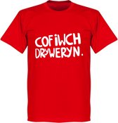 Cofiwch Dryweryn T-Shirt - Rood - 4XL