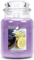 Goose Creek Citrus Lavender