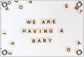 Tuinposter – Letterblokjes: 'We Are Having A Baby'– 60x40 Foto op Tuinposter (wanddecoratie voor buiten en binnen)