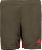 adidas Tastigo 19 Short kinderen - Bruin - maat 140