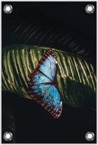 Tuinposter –Vlinder op Blad – 80x120cm Foto op Tuinposter (wanddecoratie voor buiten en binnen)