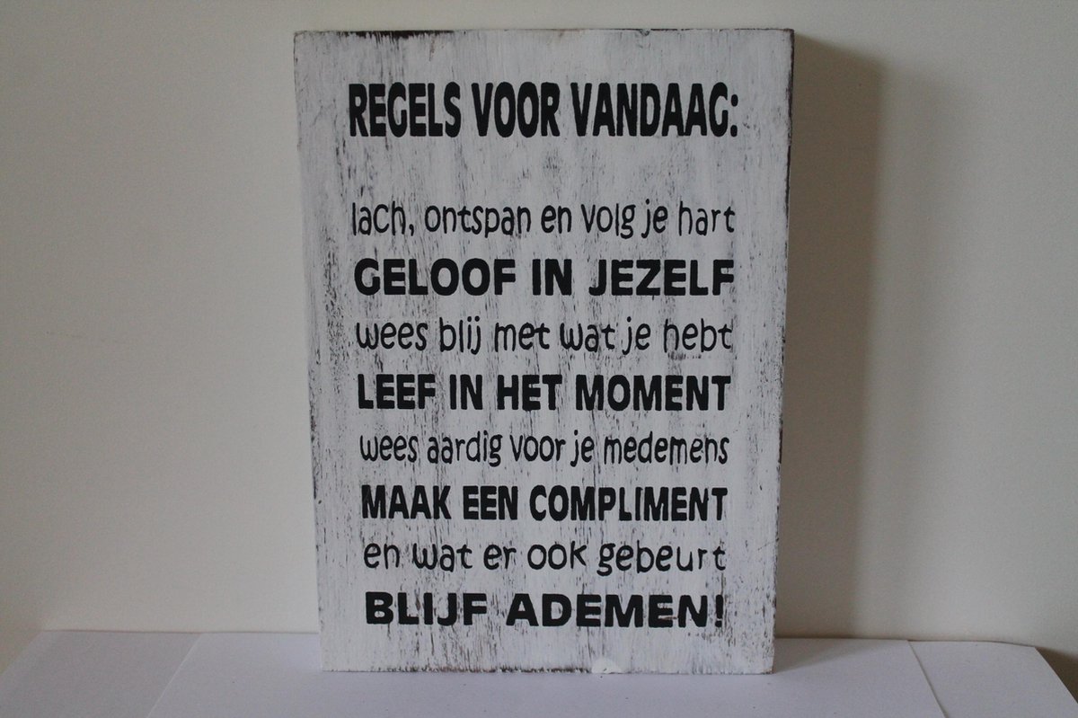 Tekstblok 25x18cm - Regels Voor Vandaag