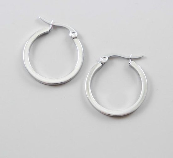 House of Jewels Staal Oorringen Staal Oorbellen