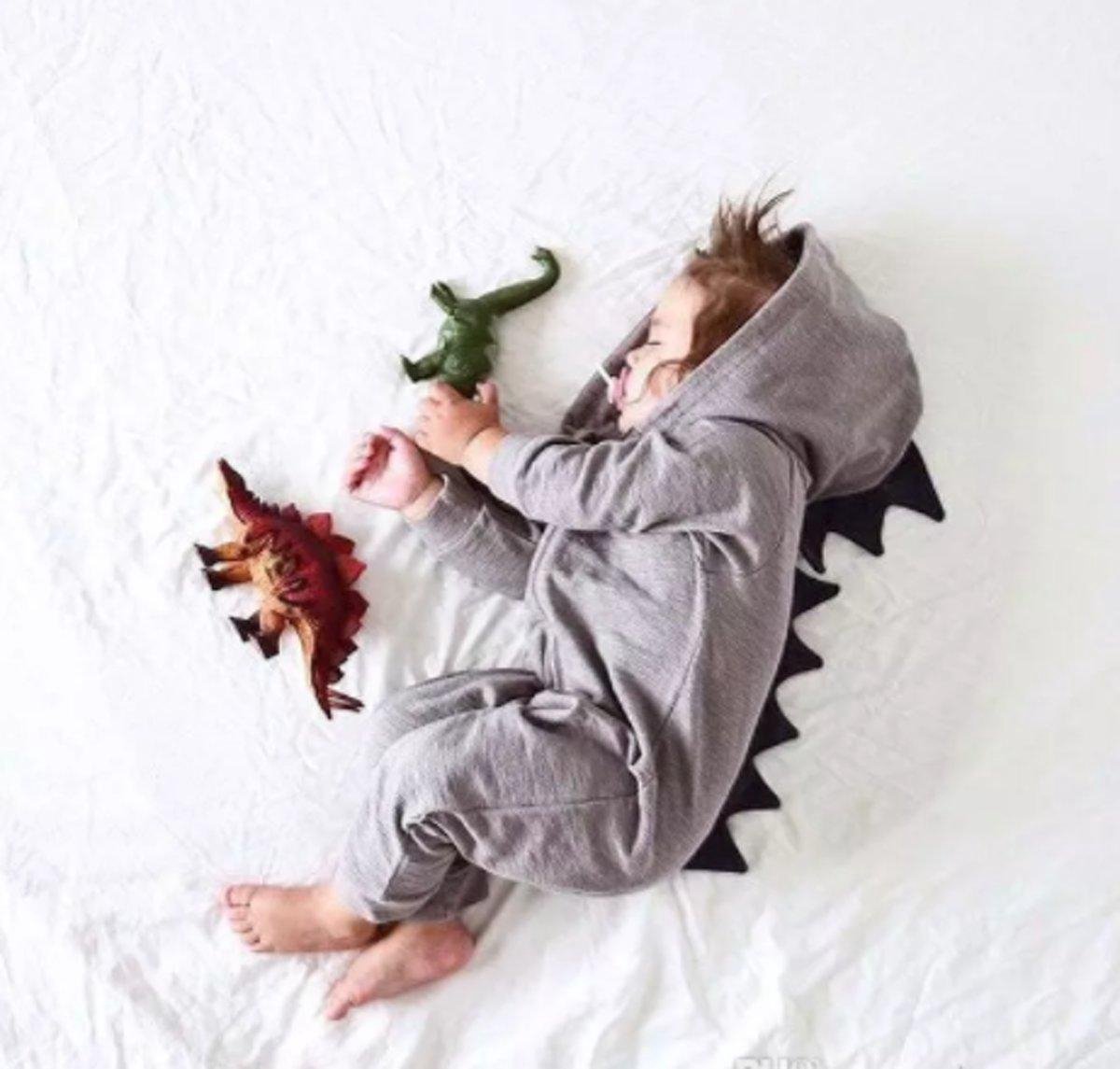 Baby Onesie Grijs Maat 90
