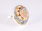 Ronde zilveren ring met Afrikaanse abalone schelp - maat 18