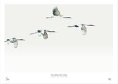 My Deer Art Shop Poster - Cranes Are Flying - 30 X 40 Cm - Blauw