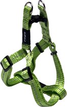 Rogz For Dogs Nitelife Step-In H Lime 11 mmx27-38 cm