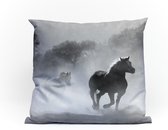 Sierkussens | Paarden | Interieur | 50CM X 50CM | topkwaliteit