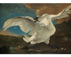 Poster De Bedreigde Zwaan - Schilderij Jan Asselijn - Large 50x70 - Gouden Eeuw