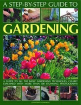 Step-by-step Guide to Gardening