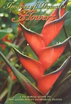 Images of Hawaii's Flowers