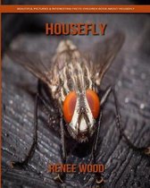 Housefly