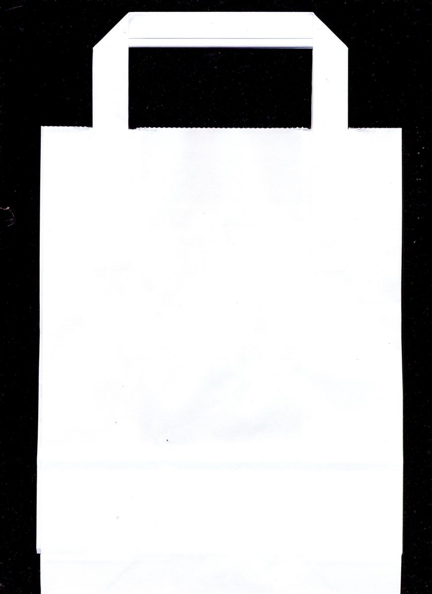 Papieren draagtas wit papier, 22 x 10 x 28 cm [100 stuks]
