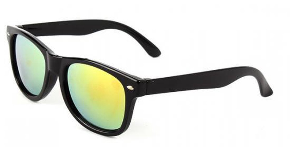 Hidzo Zonnebril Zwart - UV 400 - In brillenkoker