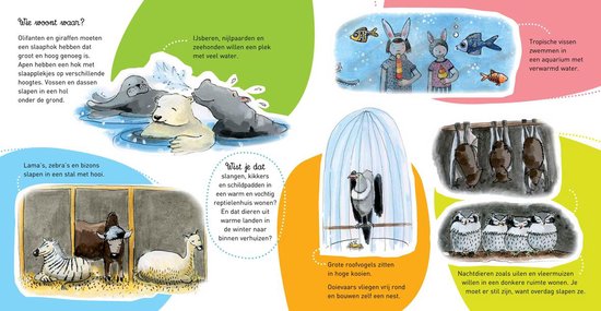 Thumbnail van een extra afbeelding van het spel Kinderboeken Clavis Dierentuin - Willewete: Naar de dierentuin. 4+