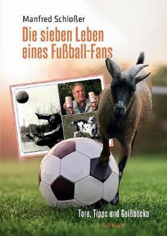 Die sieben Leben eines Fußball-Fans - cover