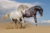 DP® Diamond Painting pakket volwassenen - Afbeelding: Jumping Horses - 60 x 90 cm volledige bedekking, vierkante steentjes - 100% Nederlandse productie! - Cat.: Dieren - Paarden