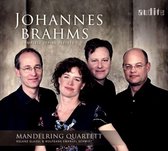Mandelring Quartett & Roland Glassl & Wolfgang Emanuel Schmidt - Brahms: Complete String Sextets (CD)