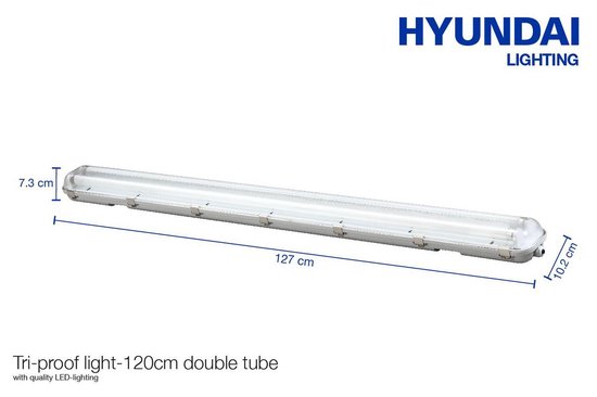 ontwikkeling voorzien Ashley Furman Hyundai – TL Buis - LED – 120cm - Dubbel armatuur – 6500K – 3600 Lumen |  bol.com