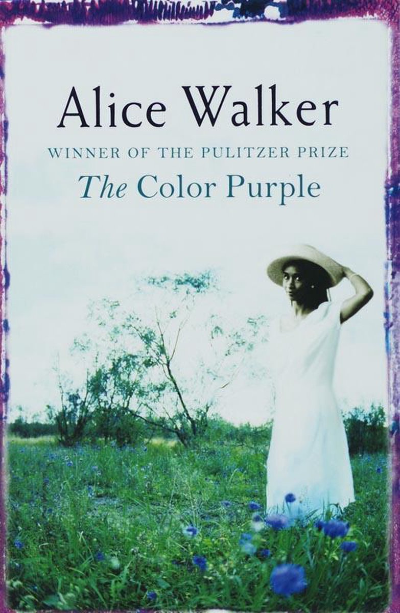 alice walker the color purple essay