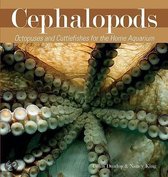 Cephalopods