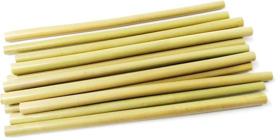 duizelig Eigenaardig Maria Bamboerietjes - Rietjes gemaakt van bamboe - Plastic alternatief - Bamboo  straws - 10... | bol.com