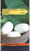 Oranjebandzaden -  Cucurbita, Sierkalebas Nest Egg