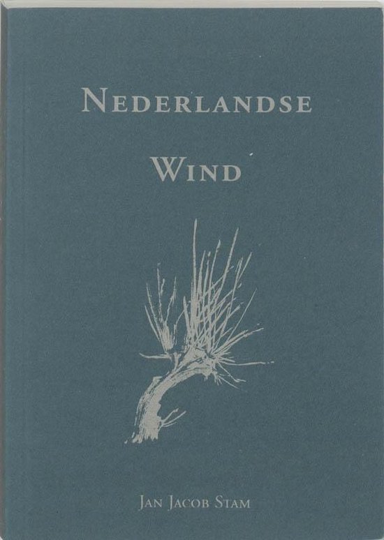 Nederlandse wind