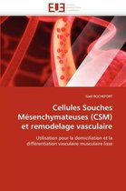 Cellules Souches Mésenchymateuses (CSM) et remodelage vasculaire
