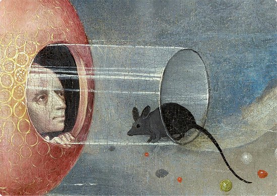 Jheronimus Bosch - Muis (wandbord)