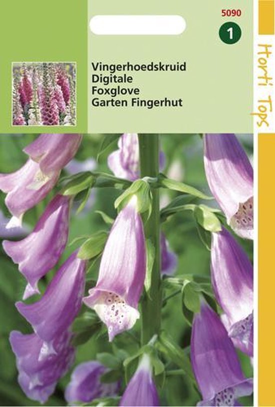 Vingerhoedskruid zaden | Happy Seeds webwinkel